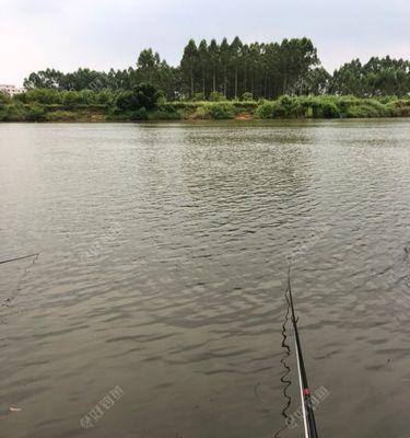 雷雨大风下的钓鱼技巧（钓鱼技巧教程分享）  第1张