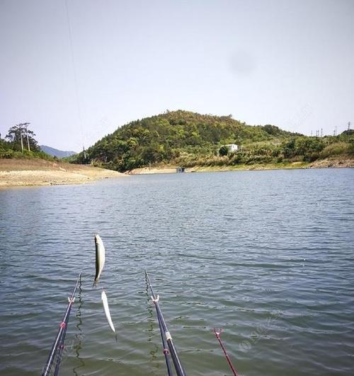 钓鱼技巧（激活钓鱼的雷雨元素）  第1张