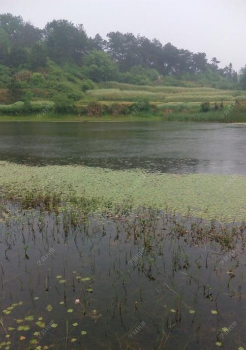 雷雨天气钓鱼的技巧与方法（钓鱼爱好者必读）  第3张