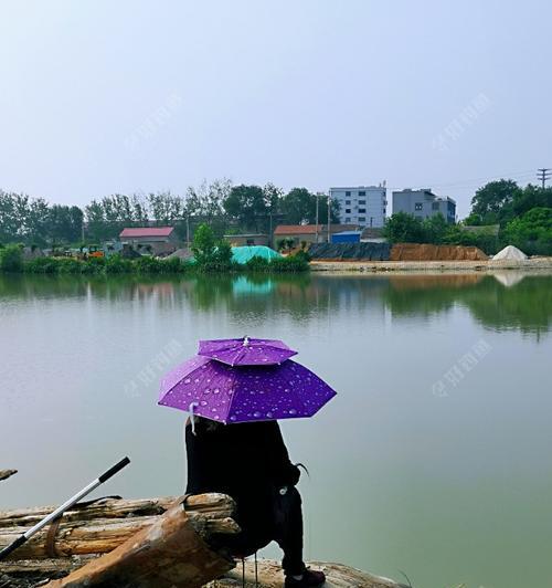 雷雨天气下的钓鱼技巧（掌握正确的技巧）  第1张