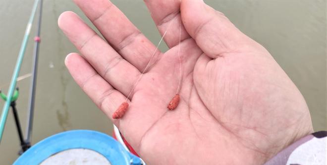 野钓技巧之以鲤鱼搓饵开饵（掌握开饵技巧提高钓鱼效果）  第2张