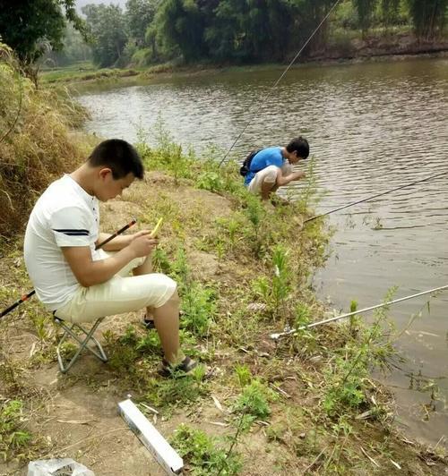 鲤鱼钓鱼技巧大全（打造专业级钓鲤经验）  第3张