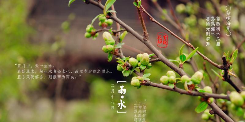 钓鱼小技巧（雨水节钓鱼技巧）  第2张