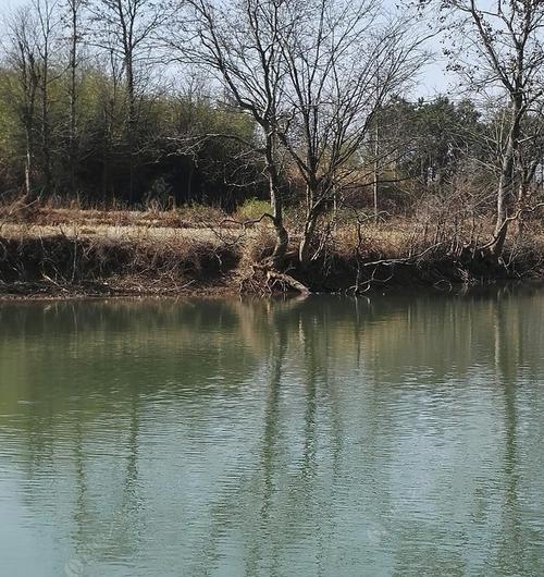 立春流水钓鱼技巧（迎接春天的娱乐方式——立春流水钓鱼）  第1张