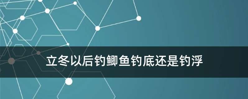 立冬首日钓鱼技巧（钓鱼新手必读）  第1张