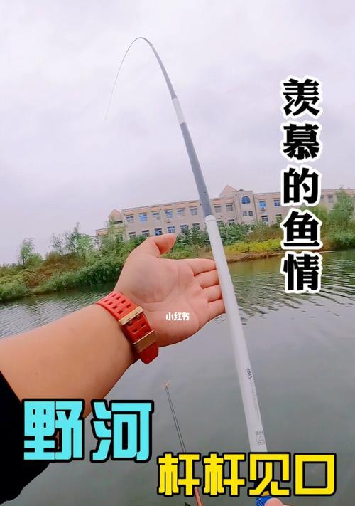 麦子钓鱼技巧大揭秘（掌握精湛技巧）  第1张