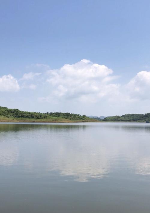 满湖水草下的钓鱼技巧（探秘湖底水草）  第3张