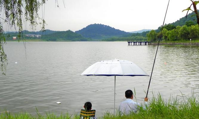 以芒种钓鱼的正确方法和技巧（探秘钓鱼圣地）  第2张