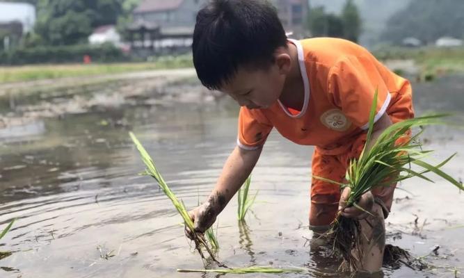 芒种节气钓鱼技巧（钓鱼技巧及注意事项）  第2张