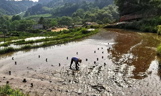 夏季钓鱼技巧（以芒种至夏至之间）  第2张