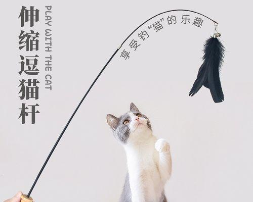 猫钓鱼技巧教程-无需水池，仅需家中室内空间即可轻松实现（用小伎俩制造属于猫咪的钓鱼乐趣）  第3张