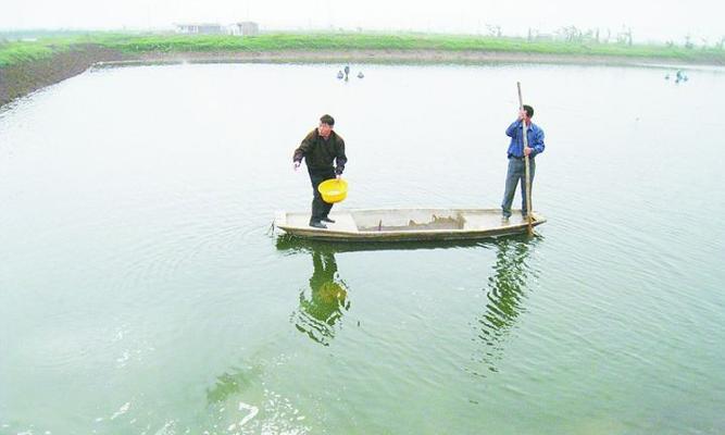 没草肥水塘钓鱼技巧（掌握了这些技巧）  第3张