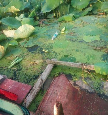 梅雨季节钓鱼的技巧与方法（在雨水中垂钓）  第3张