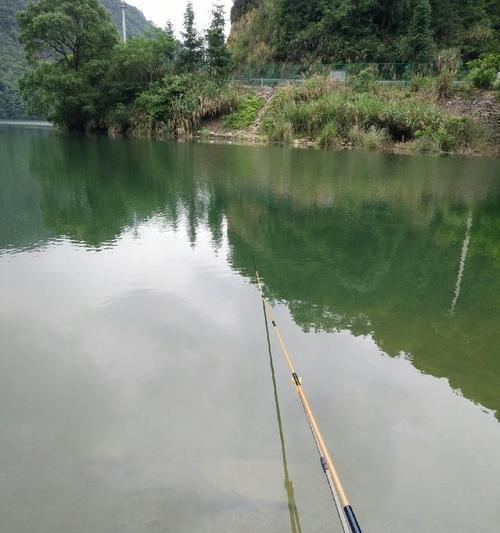 梅雨季钓鱼技巧（应对梅雨季的钓鱼技巧）  第3张