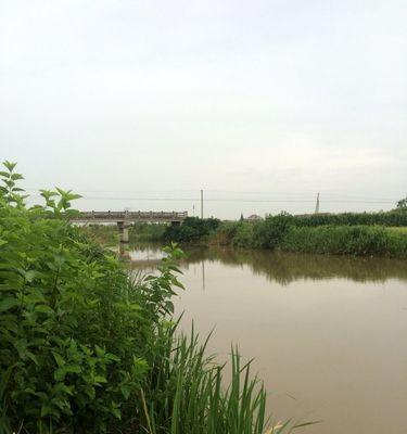 梅雨季节钓鱼技巧（利用梅雨时节的特点）  第1张