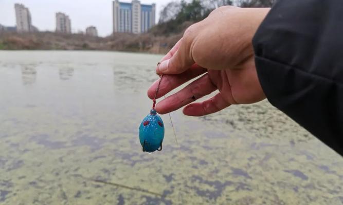 浮萍钓鱼技巧（探秘门口浮萍钓鱼的技巧与乐趣）  第3张