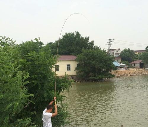 优化钓鱼技巧的闷竿流水钓法（选择合适的竿子是关键）  第1张