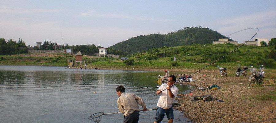 炎热夏日钓鱼技巧（挑战高温的闷热天气下）  第2张