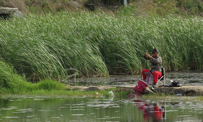 闷热死水钓鱼技巧（如何在闷热天气中提高钓鱼效果）  第2张