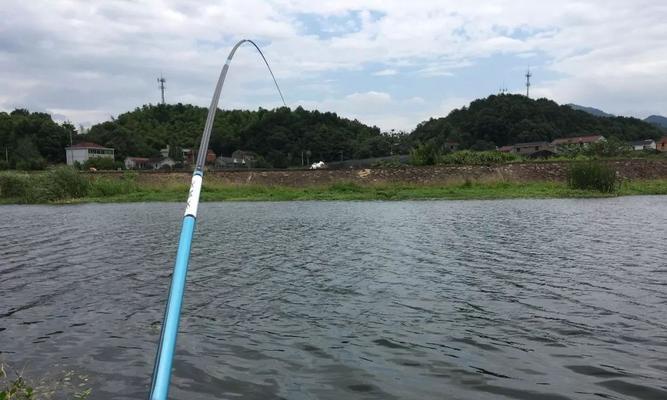 炎炎夏日，享受钓鱼的技巧与方法（钓鱼天气技巧）  第3张