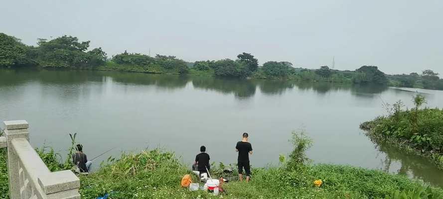 夏日高温下的水闸钓鱼技巧（应对炎热天气）  第1张