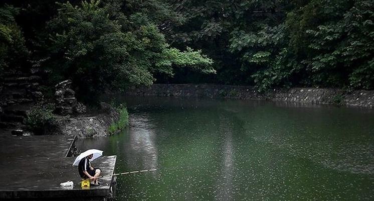 炎炎夏日钓鱼技巧（应对闷热下午）  第1张