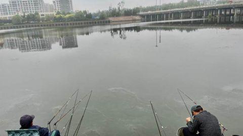 蒙蒙细雨下的钓鱼技巧（掌握钓鱼技巧）  第2张