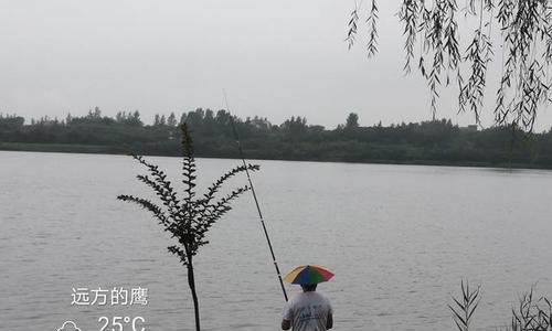 蒙蒙细雨下的钓鱼技巧（掌握钓鱼技巧）  第3张