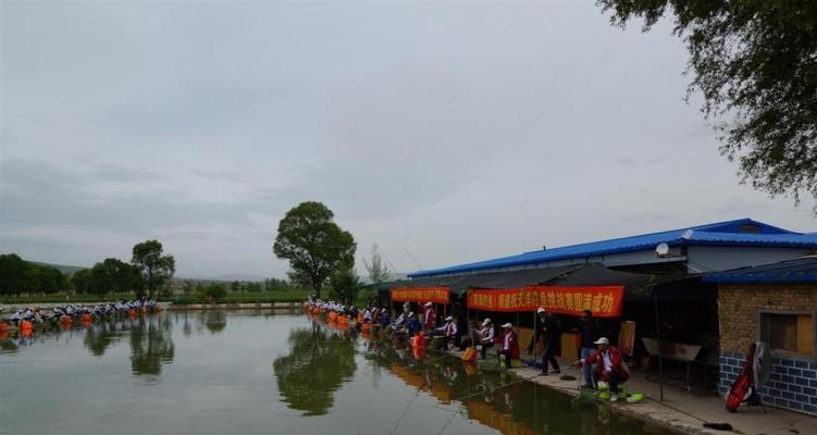 死水野塘野钓技巧（探索面积大的死水野塘钓鱼诀窍）  第2张