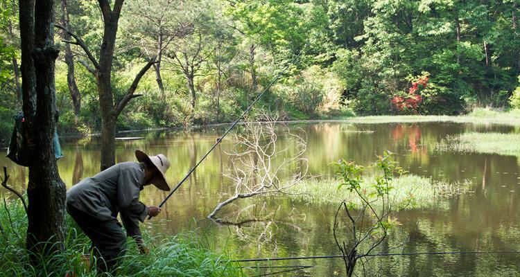 死水野塘野钓技巧（小面积塘池钓鱼心得分享）  第3张