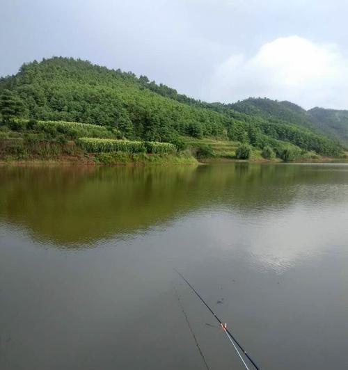 陌生水库钓鱼技巧（掌握水库特点）  第1张