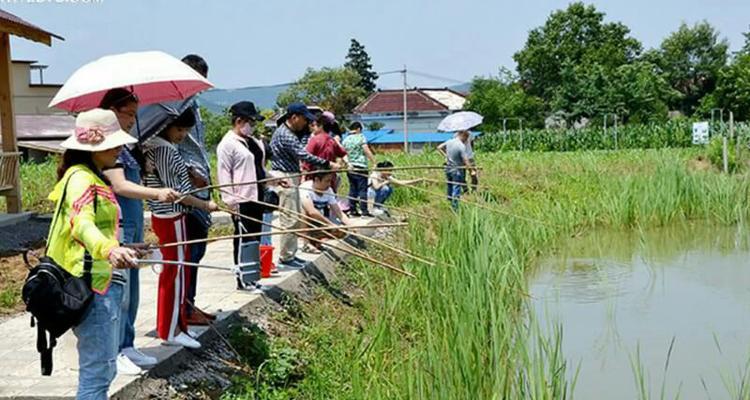 木棒钓鱼技巧大全（提升钓鱼成功率的关键技巧）  第2张