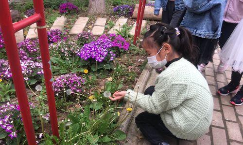 暮春初夏野钓技巧（探秘钓鱼宝典）  第1张