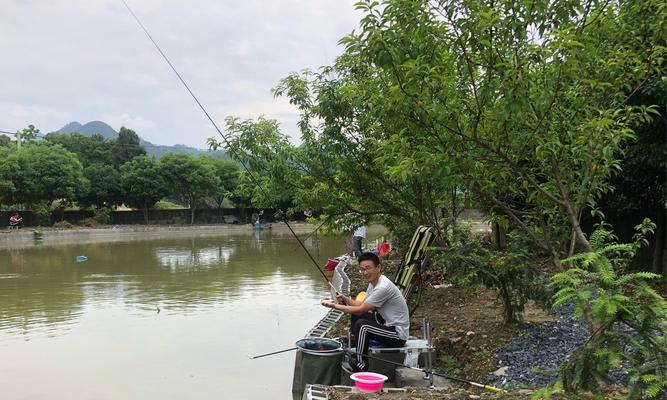 奶块蓝心鱼钓鱼技巧（提升钓获率的秘诀）  第3张