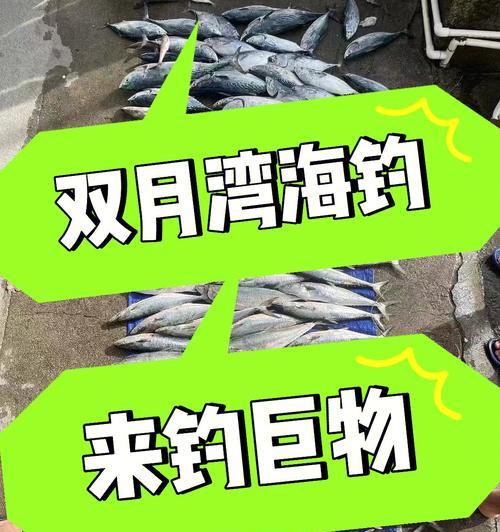 南澳船钓海钓技巧（探秘南澳船钓海钓技巧）  第2张