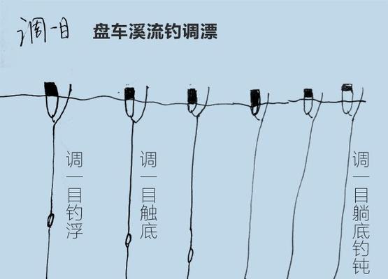 抛竿钓鱼技巧与调漂方法（掌握钓鱼技巧）  第3张