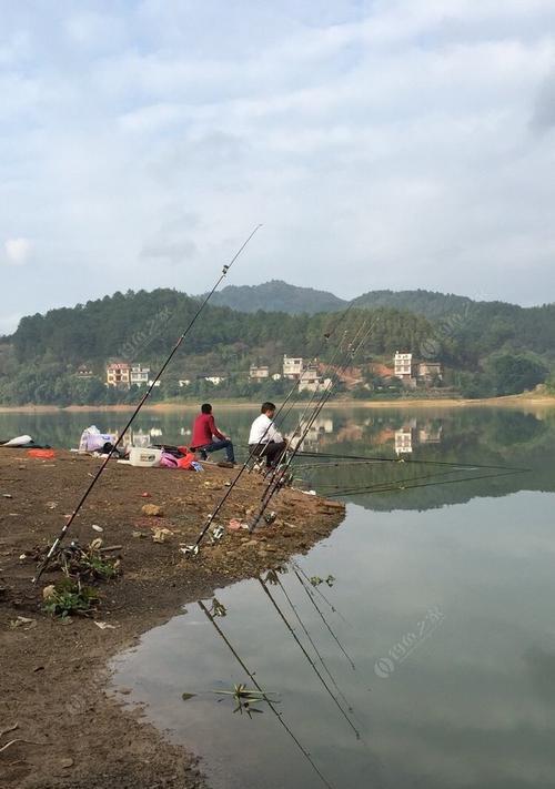 深水鲤鱼的抛竿钓技巧（探秘深水鲤鱼的捕捞技术）  第2张