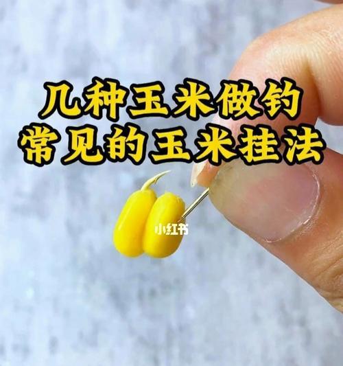 漂浮颗粒钓鱼技巧（掌握技巧）  第3张