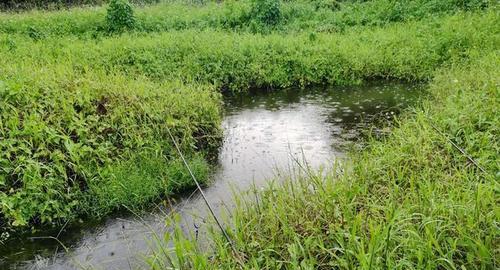 秋冬下雨天钓鱼技巧（钓鱼技巧）  第3张