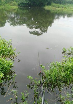 秋冬野钓鲫鱼找钓点技巧（寻找合适的钓点是钓鲫鱼的关键）  第2张