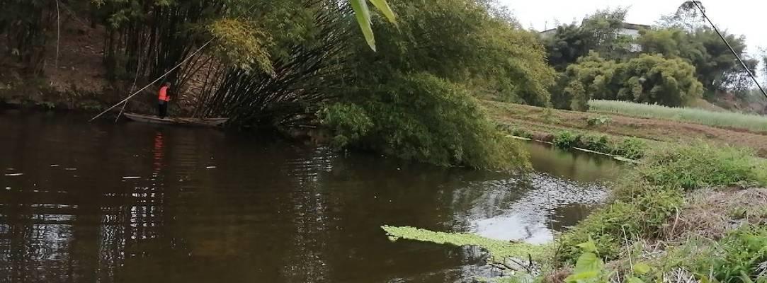 秋分小雨垂钓技巧（雨中垂钓）  第3张