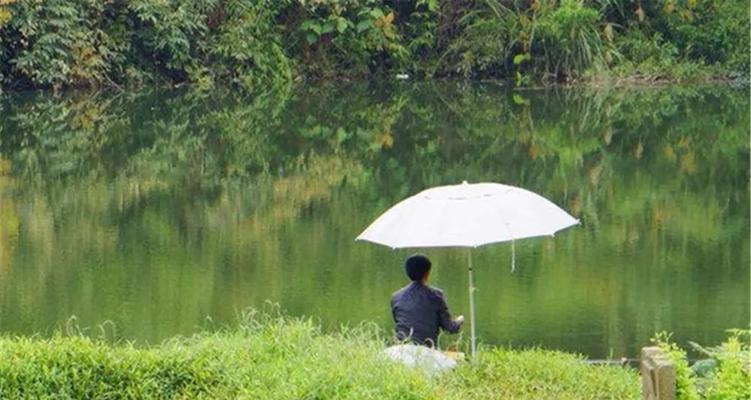 秋分小雨鲫鱼垂钓技巧（雨水催生丰收）  第3张