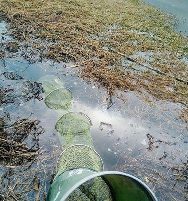 秋季草塘钓鱼技巧（探秋草塘）  第2张