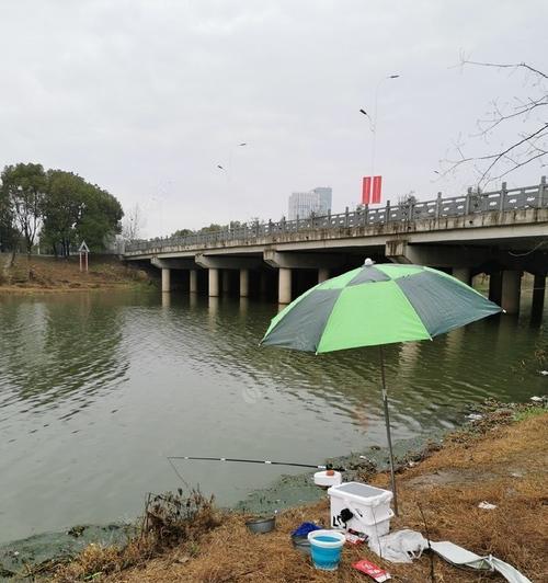 秋季大雨中钓鱼技巧教程（钓鱼技巧）  第1张