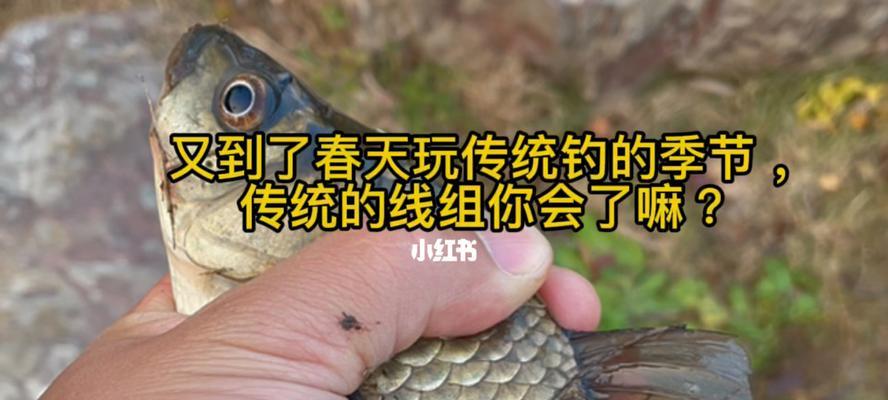 秋季钓鱼技巧教程（挑战秋季湖泊的钓鱼技巧）  第3张