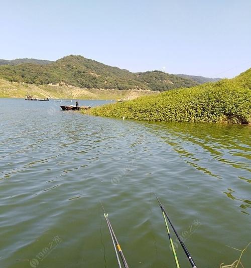 秋季河水涨水钓鱼的技巧（掌握好时间和技巧才能享受丰收）  第2张