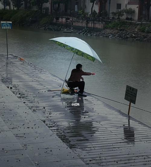 秋季连续下雨钓鱼技巧（大雨中也能畅快钓鱼的秘密）  第3张