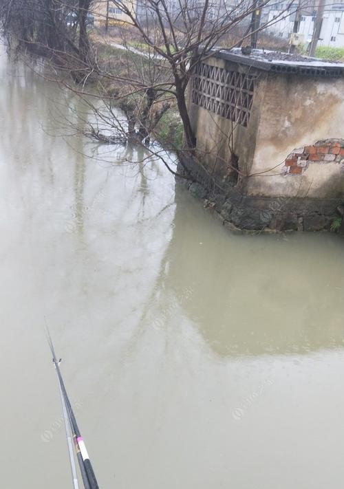 秋季连续雨天钓鱼技巧（应对连续雨天的钓鱼技巧及原理解析）  第2张