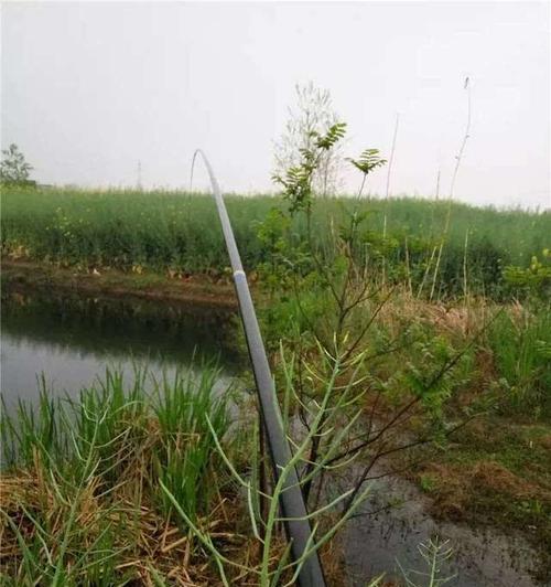 秋雨连绵钓鱼技巧大揭秘（钓鱼秘籍帮你应对连雨降温的秋季挑战）  第2张