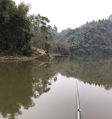 秋季水库钓鱼技巧——野钓鲫鱼大揭秘（钓友必看的秋季水库鲫鱼钓法）  第1张